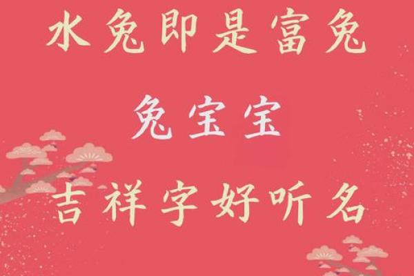 中午出生属兔的男孩应该怎么样取名字呢?姓名 中午出生属兔的男孩应该怎么样取名字呢?姓名