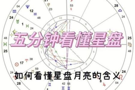 星盘十二宫代表什么 十二宫位详解