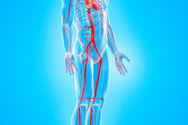 知识：人体如何感知影响风水的