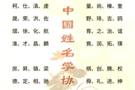 帅姓男孩名字大全-姓名学-华易算命网姓名