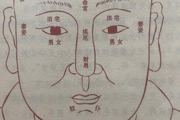 看头发面相知道运势 面相头发算命