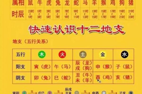 天干地支算命 天干地支算命是否可信