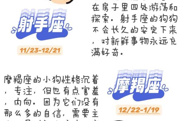 狗的十二星座性格特点大全