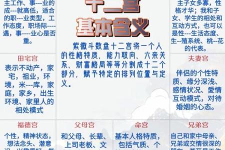 紫微斗数紫薇在兄弟宫怎么解读
