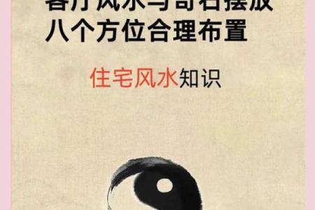 2024年旺财运的最佳方法 家中风水摆放指南