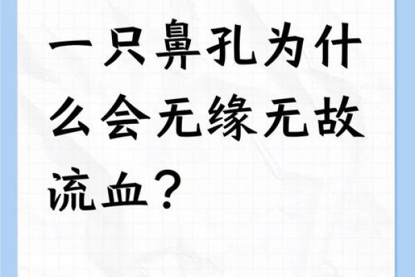 为什么说大鼻子女人不能要风水观点
