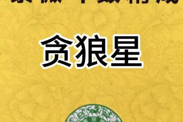 紫薇斗数精成在线阅读