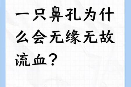 为什么说大鼻子女人不能要风水观点