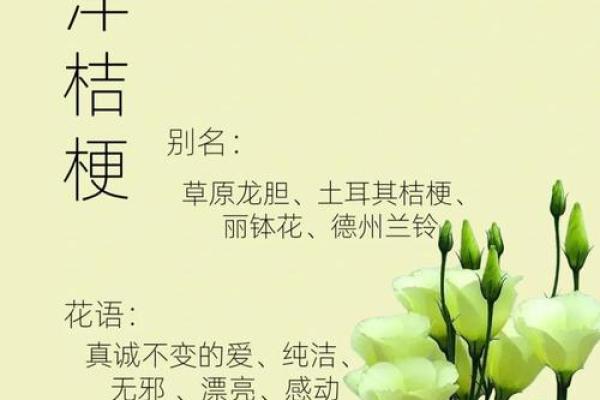 十二星座本命花花语,12星座专属花语