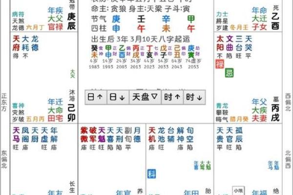 紫薇斗数怎么看有没有孩子