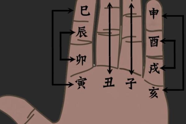 嗡爷八字教程6 天干地支的作用关系