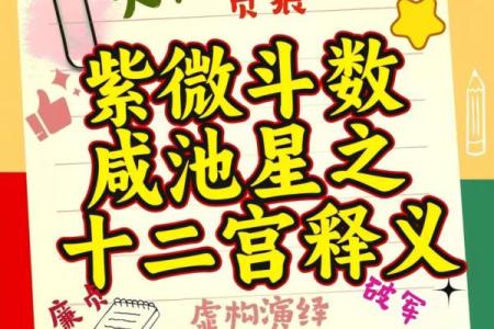 紫微斗数诸星落诸宫之：廉贞星财帛宫详解