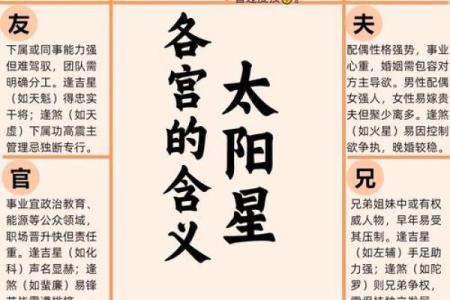 什么四语和紫薇斗数