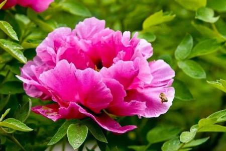 紫薇斗数看丢东西