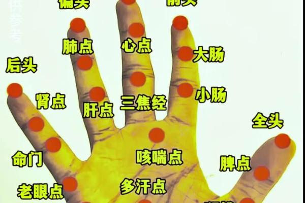 怎么看手相算命？只看男左女右对吗？
