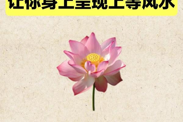 风水之图文并茂，玄机一看就懂