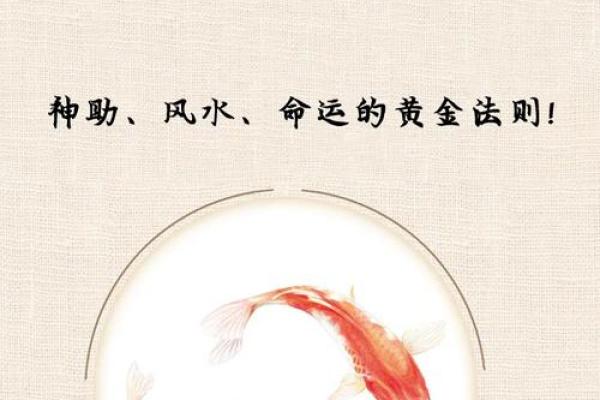 运势不好有福了，教你风水转运