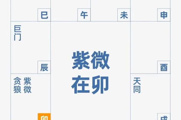 紫薇斗数安星码