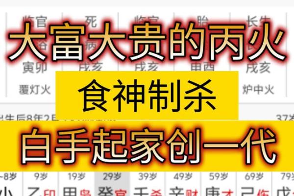 八字身弱行食神