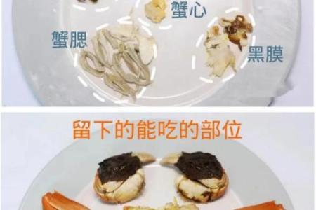 哪个星座的男生最爱吃螃蟹