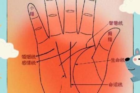 看手相算命：第三课 指头与掌型