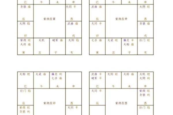 紫薇斗数星曜表 紫薇斗数星曜表