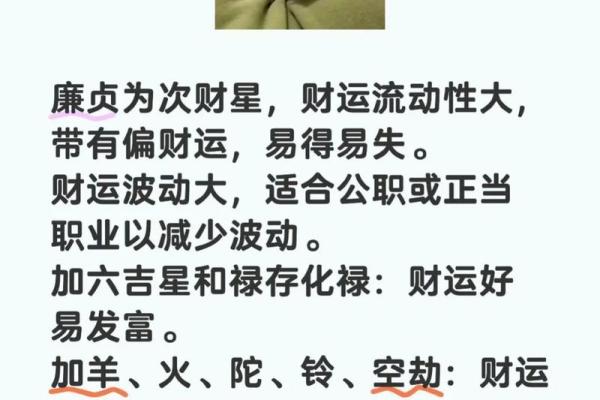 紫微斗数诸星落诸宫之：廉贞星子女宫详解