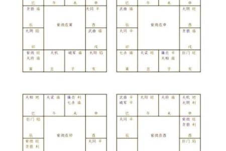 紫薇斗数星曜表