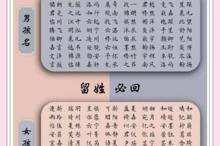 中午1点出生的属羊男孩如何起名，用什么字姓名