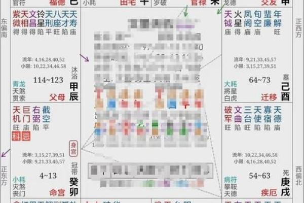 紫薇斗数命盘排盘软件 紫薇斗数命盘排盘软件