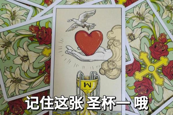 塔罗测试：和伴侣吵架，用什么方式可以和好？