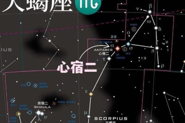 十二星座天蝎座跟什么星座最匹配