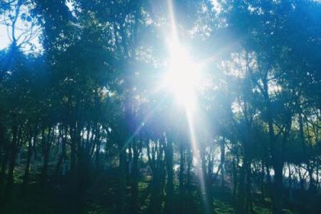 如果时间停止 十二星座希望定格的瞬间